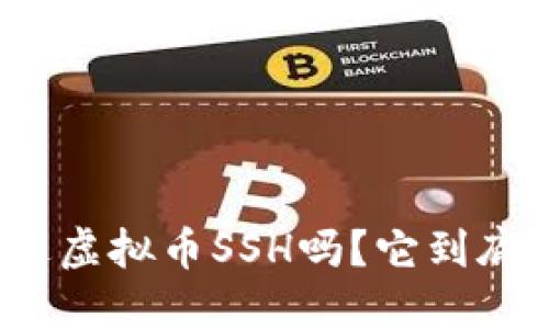 你听说过虚拟币SSH吗？它到底是什么？