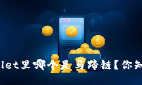 TPWallet里哪个是马蹄链？你知道吗？