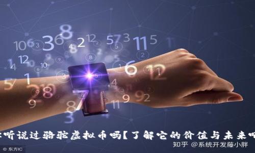 你听说过骆驼虚拟币吗？了解它的价值与未来吧！