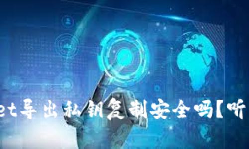 tpwallet导出私钥复制安全吗？听我说说！