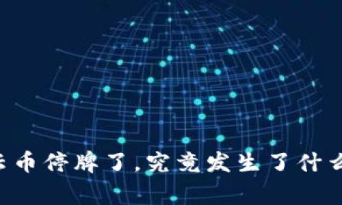 星云币停牌了，究竟发生了什么事？