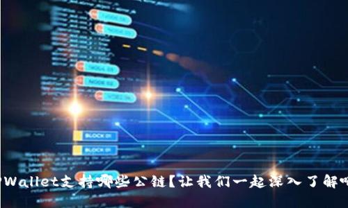 TPWallet支持哪些公链？让我们一起深入了解吧！