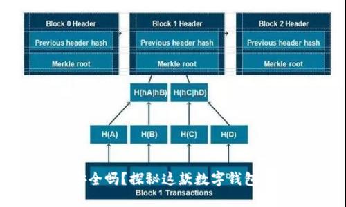 tpwallet安全吗？探秘这款数字钱包的真实体验