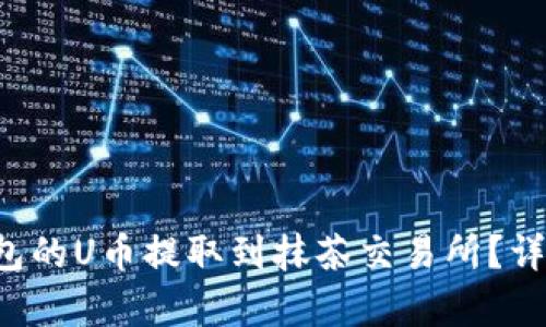 如何将TP钱包的U币提取到抹茶交易所？详细步骤解析！