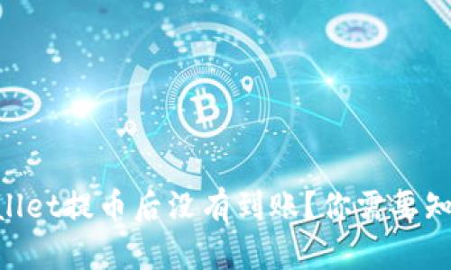 为什么向TPWallet提币后没有到账？你需要知道的关键因素！