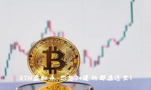 STN虚拟币：你想知道的都在这里！