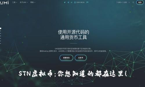 STN虚拟币：你想知道的都在这里！