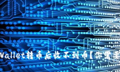 为什么我在TPWallet转币后收不到币？你需要了解哪些细节？