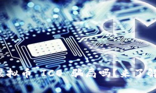 你还在担心虚拟币 ICO 骗局吗？来了解真实内幕吧！