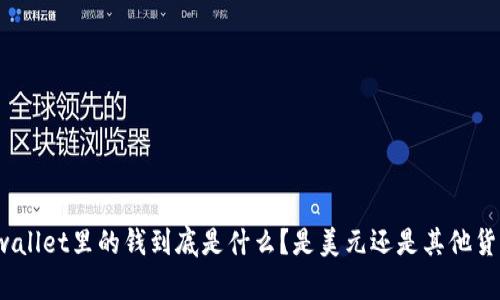 tpwallet里的钱到底是什么？是美元还是其他货币？