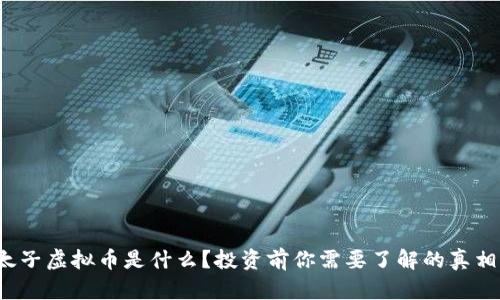 太子虚拟币是什么？投资前你需要了解的真相！