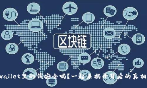 tpwallet里的钱安全吗？一起来揭开背后的真相吧！
