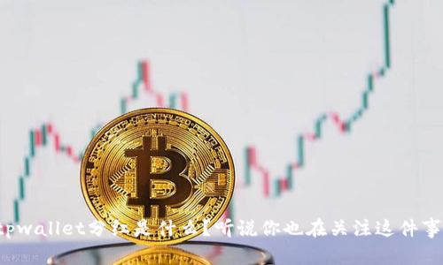“tpwallet分红是什么？听说你也在关注这件事？”