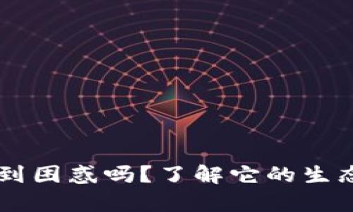你还在为虚拟币传销感到困惑吗？了解它的生态体系，帮助你避免陷阱！