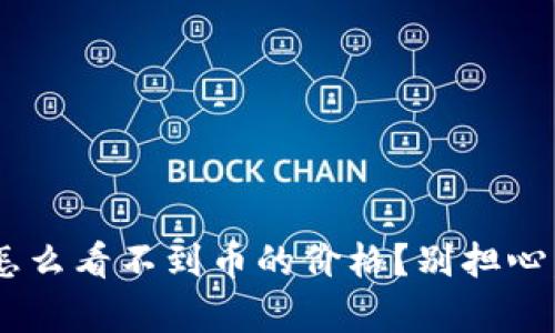 TPWallet里怎么看不到币的价格？别担心，这里有解答！