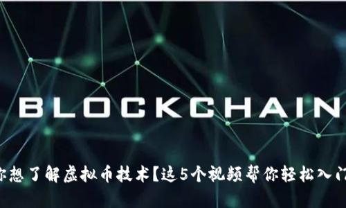 你想了解虚拟币技术？这5个视频帮你轻松入门！