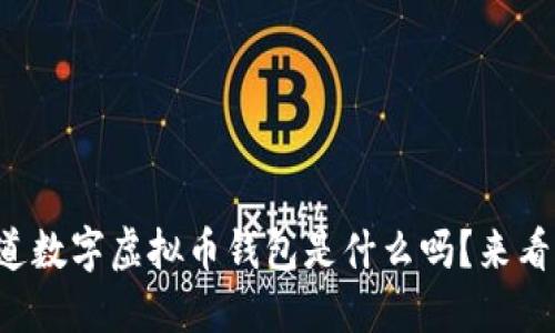 你知道数字虚拟币钱包是什么吗？来看看吧！