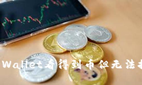 如何解决TPWallet看得到币但无法提取的问题？