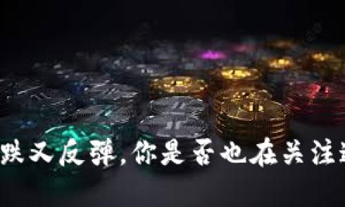 虚拟币暴跌又反弹，你是否也在关注这些波动？