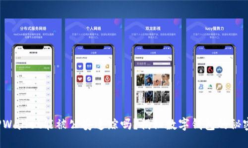 TPWallet能被公安追踪吗？揭秘数字钱包的秘密！
