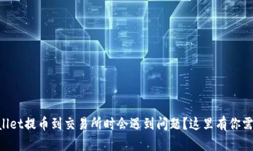 为什么在TPWallet提币到交易所时会遇到问题？这里有你需要知道的一切！