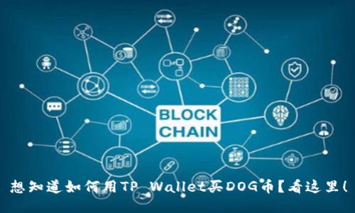想知道如何用TP Wallet买DOG币？看这里！