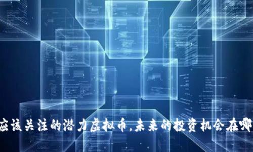 你应该关注的潜力虚拟币，未来的投资机会在哪里？
