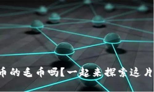 你知道什么是虚拟币的毛币吗？一起来探索这片数字货币的海洋吧！