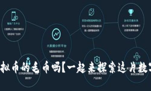 你知道什么是虚拟币的毛币吗？一起来探索这片数字货币的海洋吧！