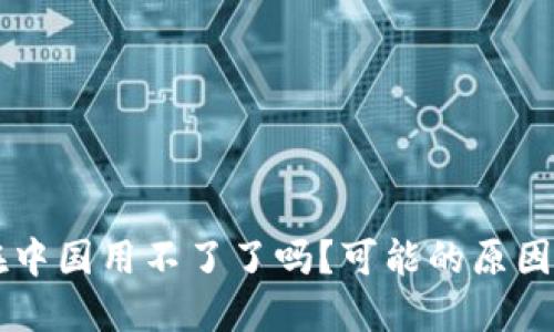 TPWallet在中国用不了了吗？可能的原因与解决方案