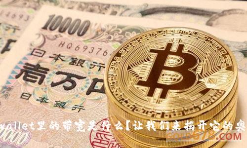 tpwallet里的带宽是什么？让我们来揭开它的奥秘！