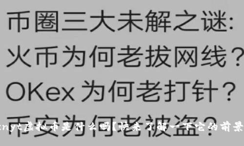 你知道cnyt虚拟币是什么吗？快来了解一下它的前景与应用！