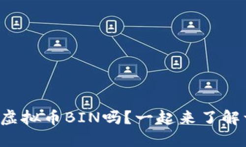 你知道虚拟币BIN吗？一起来了解一下吧！