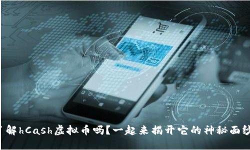 你了解hCash虚拟币吗？一起来揭开它的神秘面纱吧！