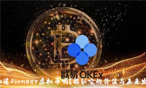   
你知道Pioneer虚拟币吗？揭秘它的价值与未来发展！
