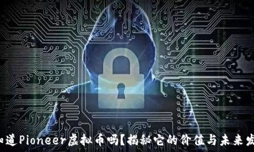   
你知道Pioneer虚拟币吗？揭秘它的价值与未来发展！