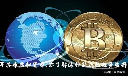 土耳其币虚拟货币：你了解这种新兴的投资选择吗？