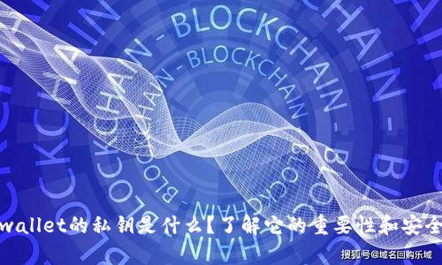 tpwallet的私钥是什么？了解它的重要性和安全性