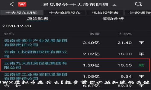 “WOWX虚拟币是什么？投资前你必须知道的关键点！”