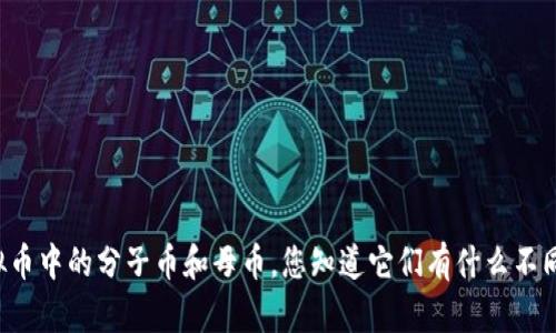 虚拟币中的分子币和母币，您知道它们有什么不同吗？