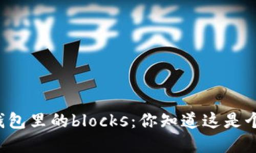 虚拟币钱包里的blocks：你知道这是个什么吗？