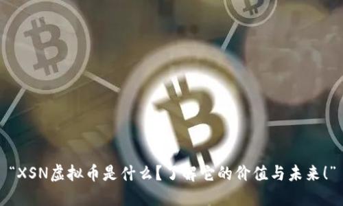 “XSN虚拟币是什么？了解它的价值与未来！”