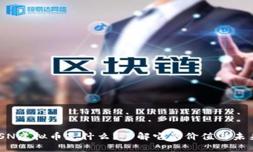 “XSN虚拟币是什么？了解它的价值与未来！”
