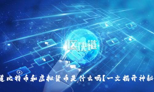 你知道比特币和虚拟货币是什么吗？一文揭开神秘面纱！