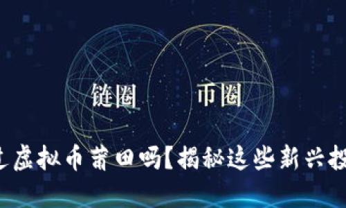 你听说过虚拟币莆田吗？揭秘这些新兴投资机会！