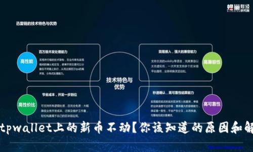 为什么tpwallet上的新币不动？你该知道的原因和解决方案