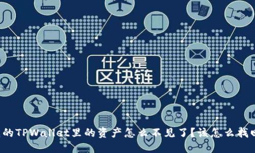 我的TPWallet里的资产怎么不见了？该怎么找回？