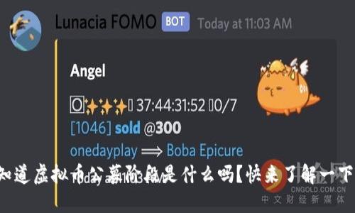 你知道虚拟币公募阶段是什么吗？快来了解一下吧！