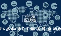 : 什么是EFC虚拟币？了解其背后的机会与风险！
