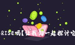 你知道虚拟币BRISE吗？让我们一起探讨它的未来与